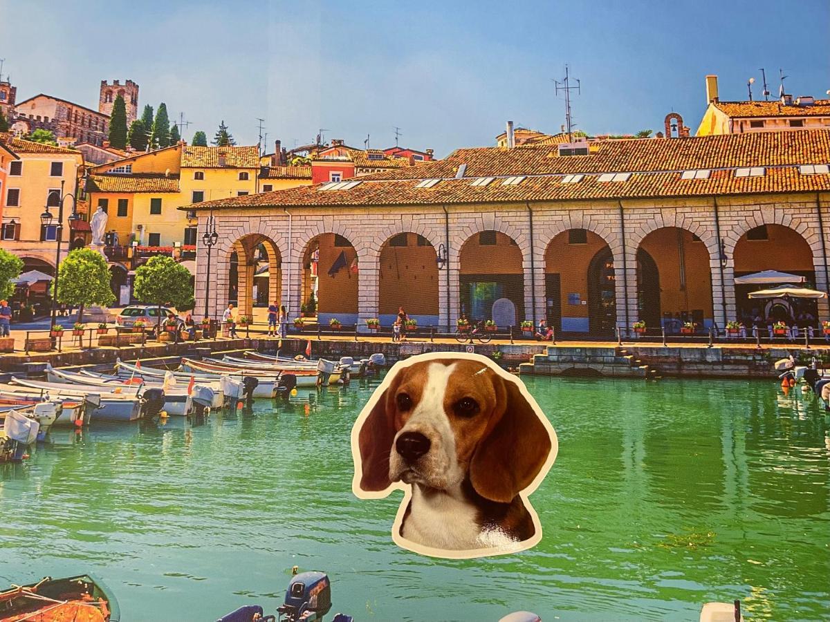 Apartament Desenzanoloft Blue Lake Star Desenzano del Garda Zewnętrze zdjęcie